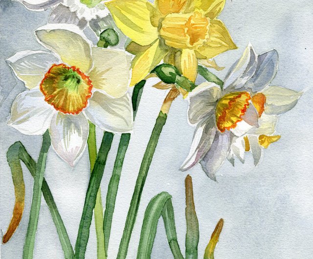 Original watercolor painting Narcissus flowers to order 8/11 or 11