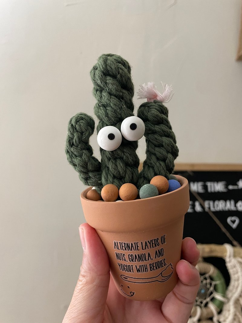 Big Eyes Braided Cactus Healing Small Potted Plant/Wenqing/Office Accessories - Items for Display - Pottery 