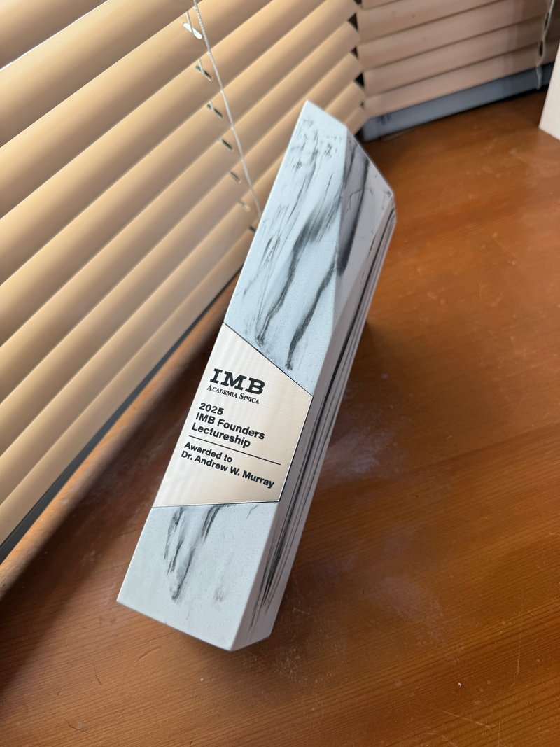 【客製化】再生大理石獎盃 - 其他 - 石頭 銀色