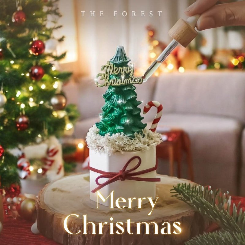 Make wishes 北歐森林迷你聖誕樹擴香(贈送5ml香氛油) - 香氛/精油/擴香 - 植物．花 卡其色