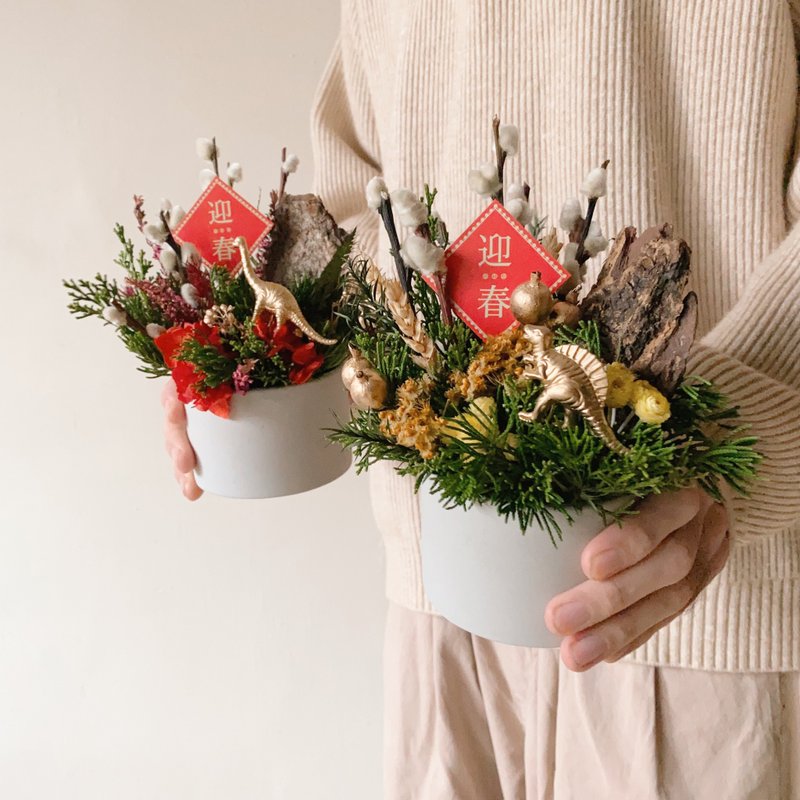 Good Luck Dragon Comes New Year Dry Small Potted Flower New Year Flower Gift - Dried Flowers & Bouquets - Plants & Flowers Red