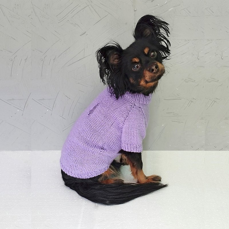 Knitted sweater for a dog Lilac sweater for small dog Warm dog sweater Torn - 寵物衣服 - 羊毛 紫色
