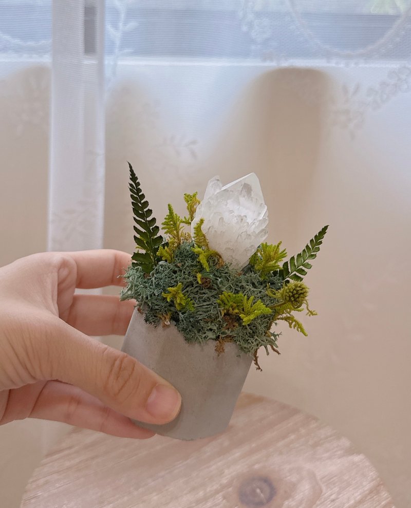 菠蘿白水晶簇-幽靜小雪山。永生葉材綠植栽 - 盆栽/植栽 - 水晶 白色