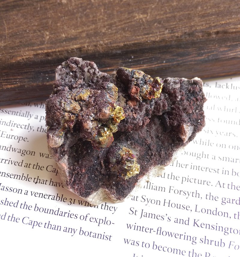Barite Chalcopyrite 重晶石 黃銅礦 共生礦 天然礦石 原礦 - 擺飾/家飾品 - 其他材質 