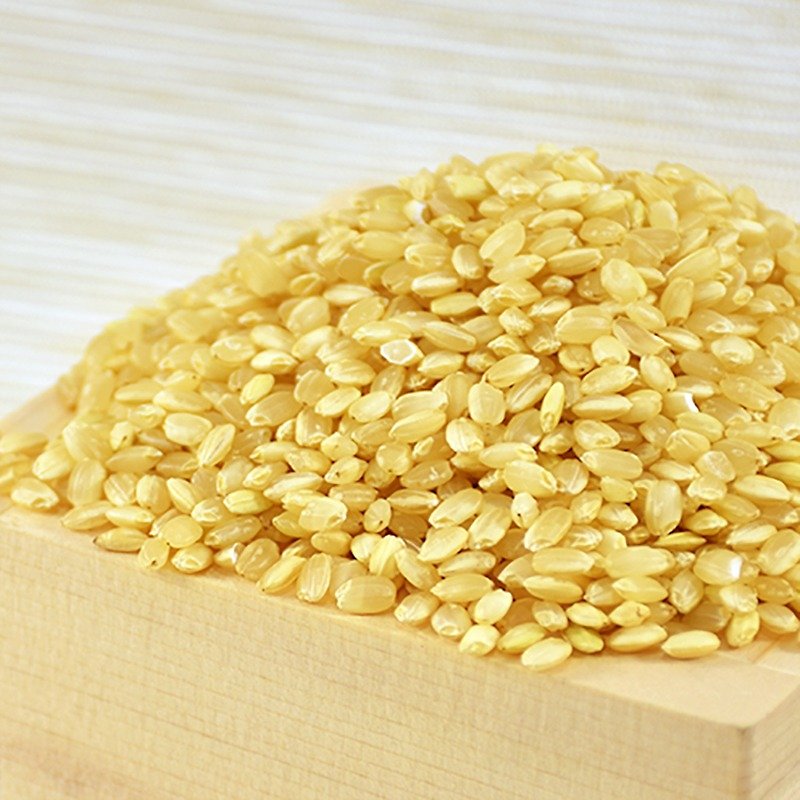 【Sun Tainan 11 germination brown rice】 days for the Wo (300gX10 packaging) - บะหมี่ - อาหารสด สีทอง