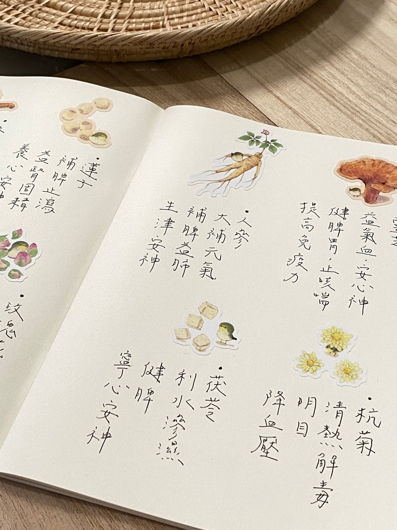 綠繡眼與本草綱目 圖鑑貼紙 2款 - 貼紙 - 紙 