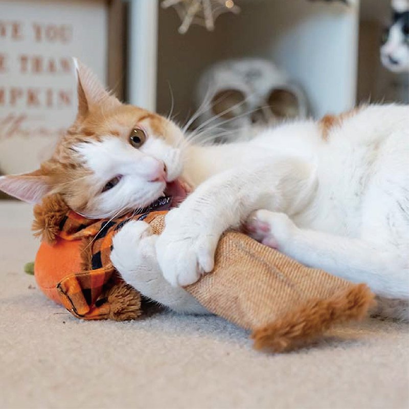 猫のおもちゃ 猫草 ワイルドキャット ファニーキャット ハロウィンシリーズ - おもちゃ - サステナブル素材 