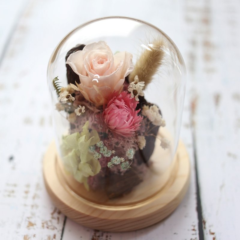 璎珞 Manor*S*Glass cover 永 / eternal flower. Dry flower / Valentine's Day gift / gift preferred - ช่อดอกไม้แห้ง - พืช/ดอกไม้ 