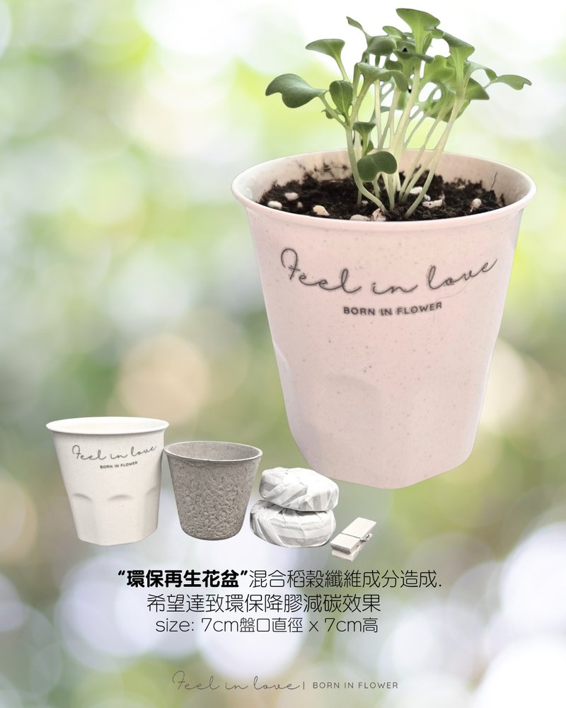 種植小套裝|環保再生花盆混合稻穀纖維成分造成. - 植栽/盆栽 - 其他材質 白色