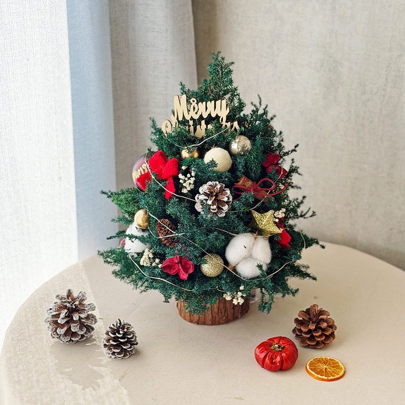 T24點亮心願聖誕樹 / 永生雪松聖誕樹 聖誕節佈置 - 乾燥花/永生花 - 植物．花 綠色