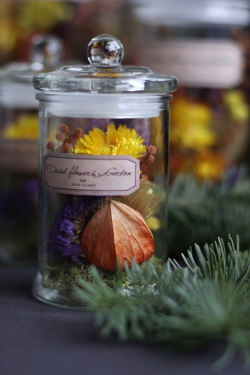 Secret Garden＿Dreamland Dry Flower Glass Wen＿S Number＿Flower Gift - ตกแต่งต้นไม้ - พืช/ดอกไม้ หลากหลายสี