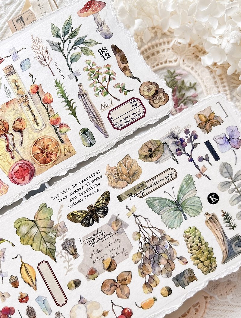 Specimen Collection Light Retro Flowers and Butterflies PET Washi Tape - Washi Tape - Other Materials Multicolor