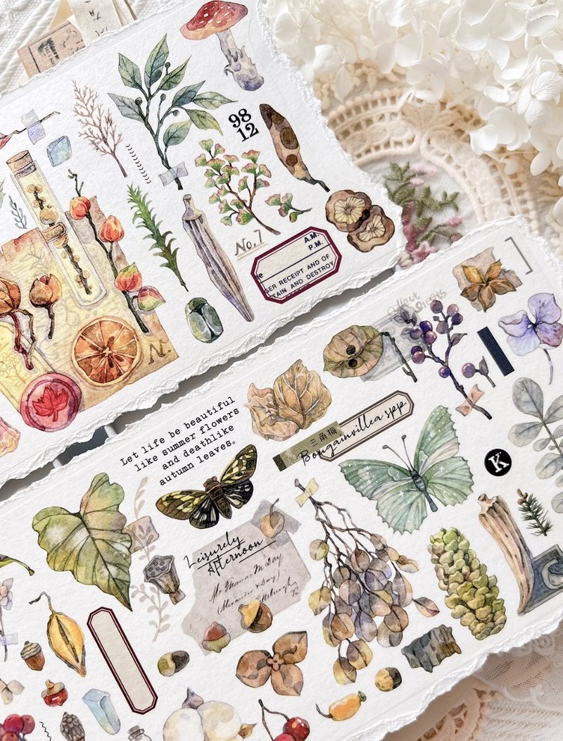 Specimen Collection Light Retro Flowers and Butterflies PET Washi Tape - มาสกิ้งเทป - วัสดุอื่นๆ หลากหลายสี