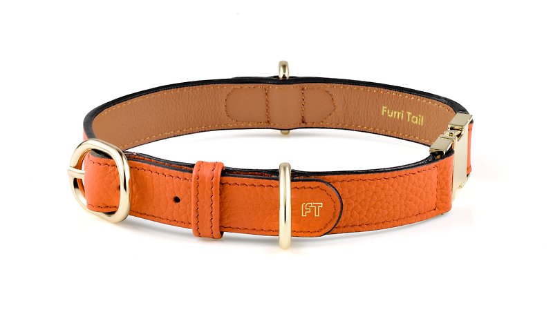 Handcraft Engraved Leather Dog Collar - Saffron Orange - Collars & Leashes - Genuine Leather Orange