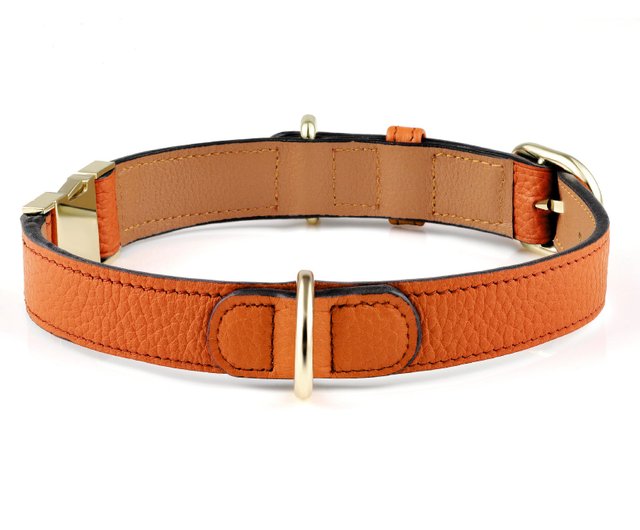 イヌパシー　Sサイズ首輪 オレンジ Amazon | 犬の首輪 国産 H レザーカラー SS オレンジ petit