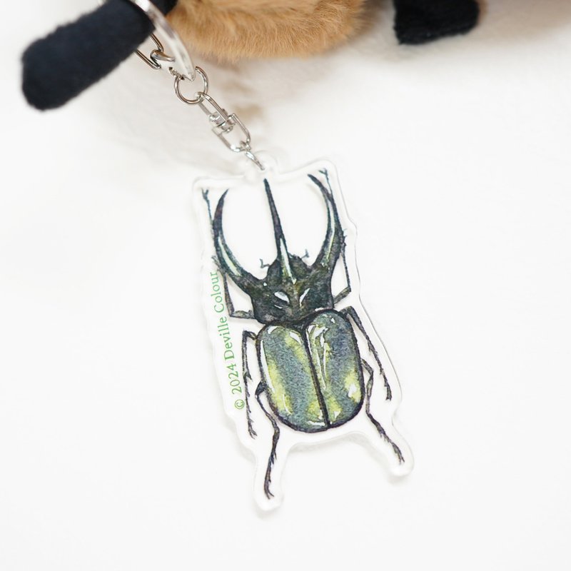 【Mr Beetles - Atlas Beetle】Acrylic Keychain - ที่ห้อยกุญแจ - กระดาษ สีเขียว