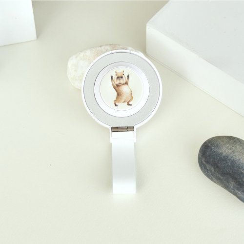 TOYSELECT 樂意水豚搖擺15W二合一磁吸支架無線充電器(手機+Watch)