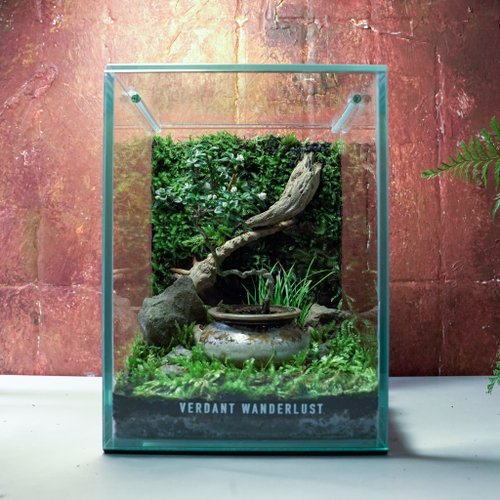 景觀丸藝 Verdant Wanderlust 【生態缸-甕中紫語】微景觀 室內植栽 禮物 辦公室擺設