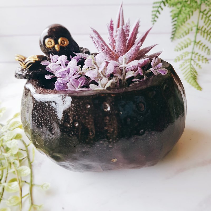 Wen Qingying│Yoshino Eagle x Owl Pottery Flower Handmade Succulents Gift - Pottery & Ceramics - Pottery Black