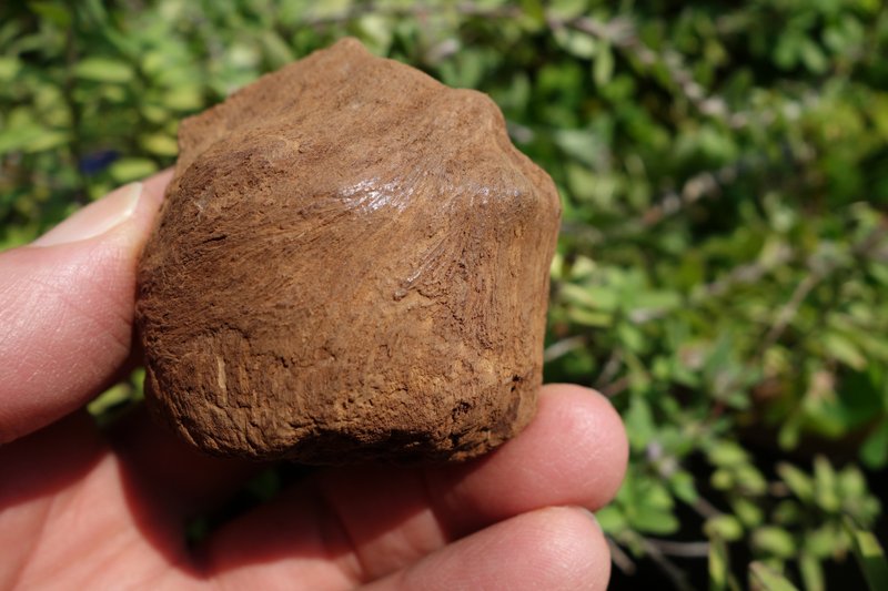 Kalimantan wild agarwood old material 67 grams agarwood ornaments [submerged water level] Sin Chew water agarwood - น้ำหอม - ไม้ สีกากี