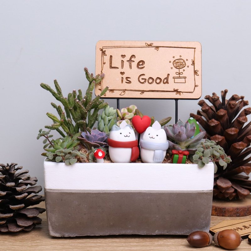 Heart-warming cat succulent plant Cement potted word plate customized birthday resignation Christmas exchange gift flower gift - ตกแต่งต้นไม้ - ปูน ขาว