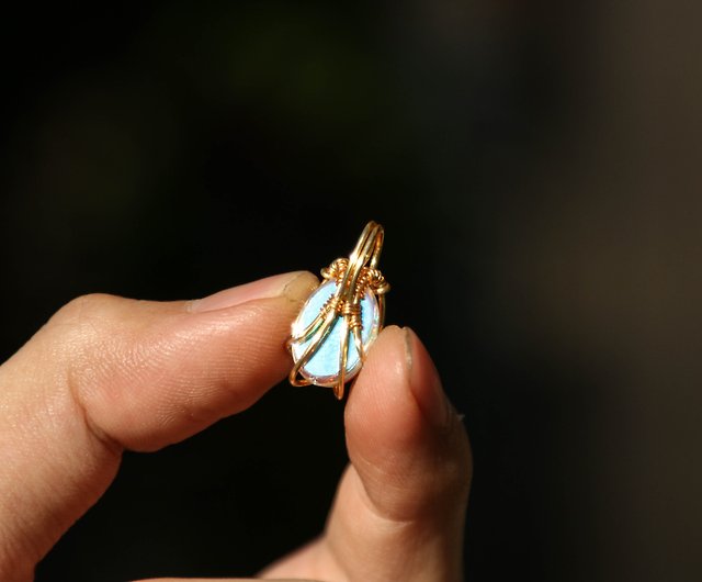 かわいい～！ 太古の虫の化石 親指の爪サイズ 本物 - コレクション