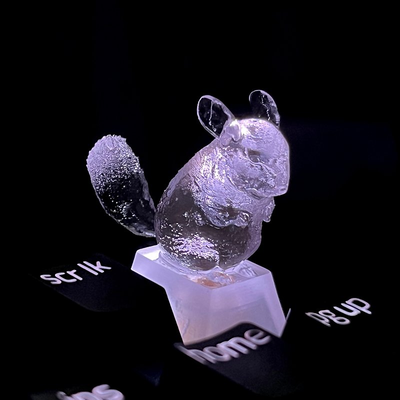Keycap, chinchilla, Transparent, Clear, Gaming, Keyboard, cherry MX - Other - Plastic Transparent