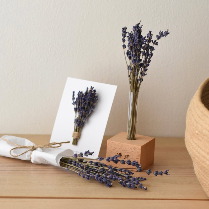 Lavender Limited Edition 2025 - 盆栽/植栽 - 植物．花 
