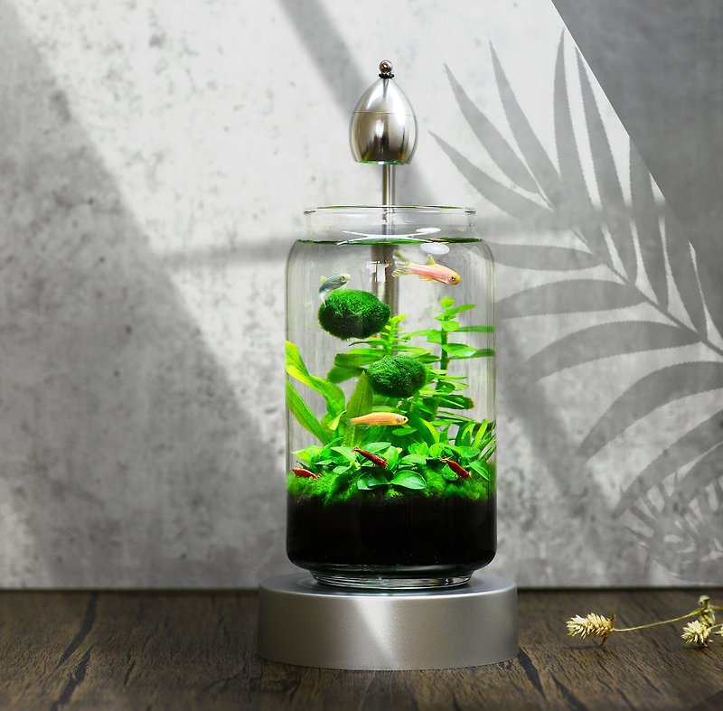 [Free Shipping] Building Blocks Impression Live Aquatic Plant Ecological Relief Fish Tank Ecological Bottle [Green Planet] - Other - Glass Silver