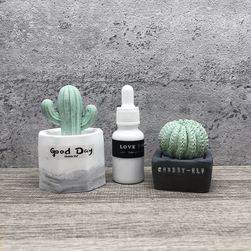 Diffuse Stone gift box set (cactus incense Stone combination + fragrance 15ml) - น้ำหอม - วัสดุอื่นๆ สีเขียว