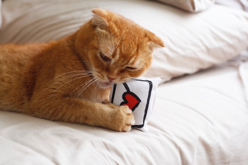寫給貓咪的情書 貓草包  貓玩具 可填充重複用 - 貓/狗玩具 - 聚酯纖維 紅色