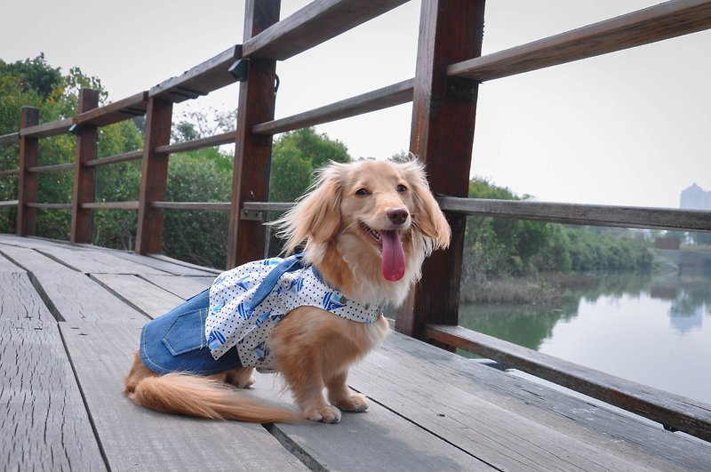 Among_dog harness_denim dress(small size) - Clothing & Accessories - Other Materials 