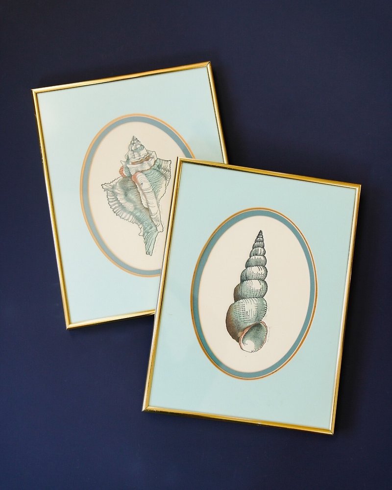 Early embossed printed shell paintings - Items for Display - Other Materials Blue