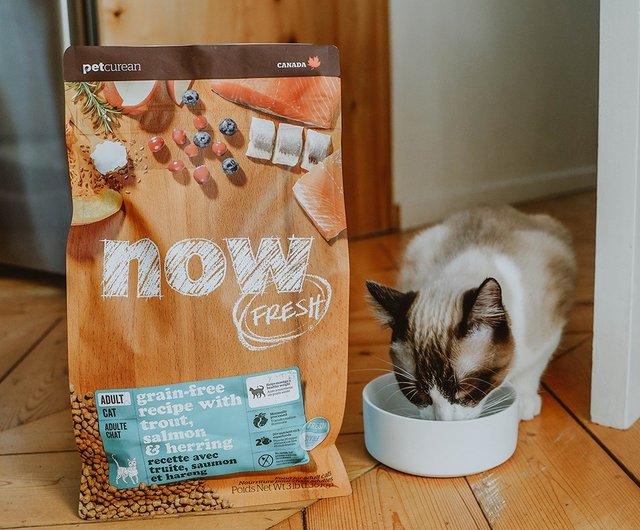 Cat staple food now fresh fish grain free adult cat formula natural food feed cat food indoor cat