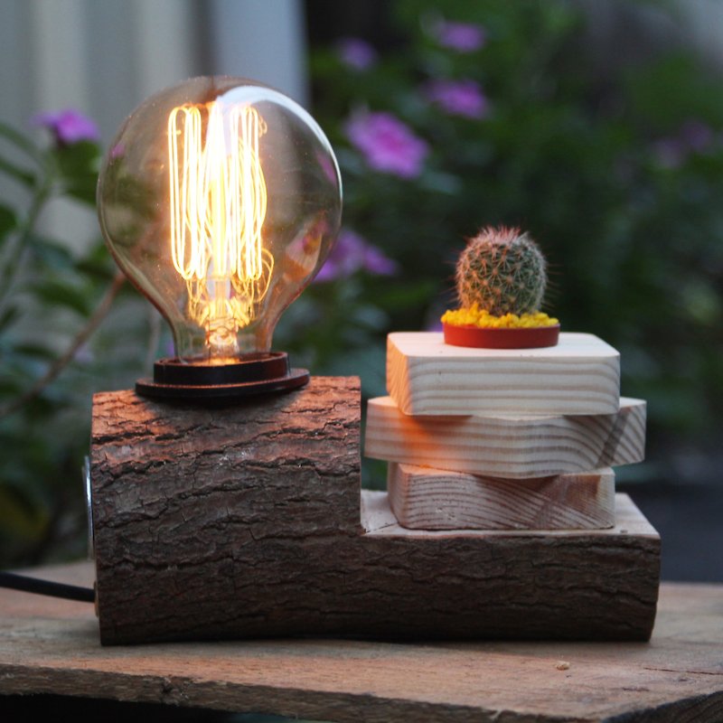 【ORzloft】Healing system natural camphor wood lamp with bulb & cactus free video - Plants - Wood 