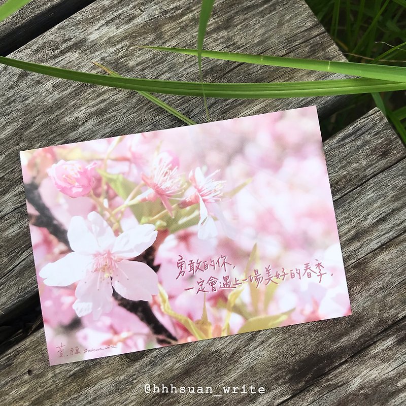 【玄。直筆】春/To the Brave You(君へ)シリーズのポストカード - カード・はがき - 紙 ピンク