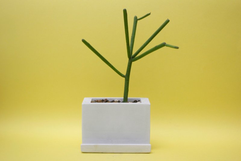〖 秋魚手作工坊 〗 水泥植栽×多肉植物 ＿您好，這是我的名片！ ░ 灰 白 ░ - 盆栽/植栽 - 水泥 銀色