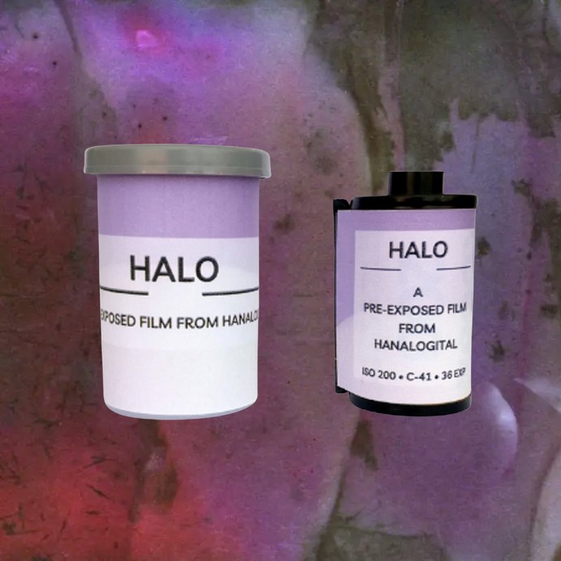 【Hanalogital】HALO 200 ISO 36EXP Color Negative Film | Specialty Film Soup - กล้อง - วัสดุอื่นๆ 