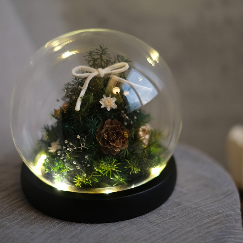 [Eternal cedar Christmas tree] Glass shade lamp holder imported from Japan with preserved flowers - ช่อดอกไม้แห้ง - พืช/ดอกไม้ 