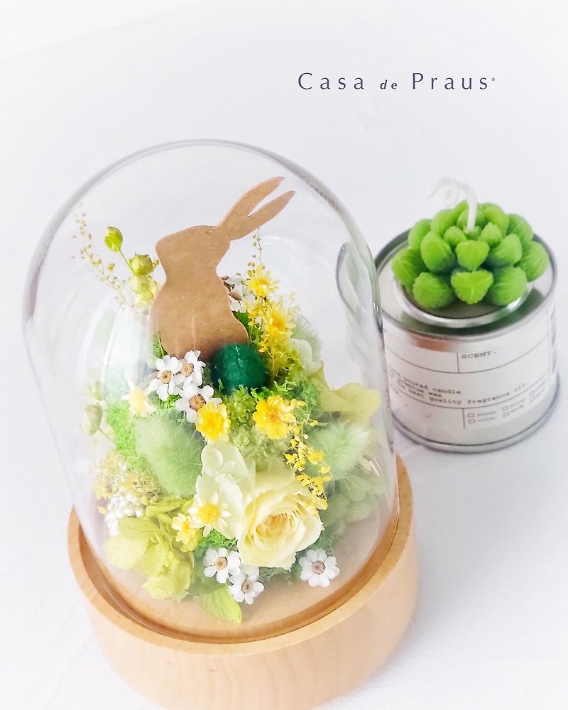 療癒兔兔旋轉音樂盒 - 乾花/永生花 - 植物．花 黃色