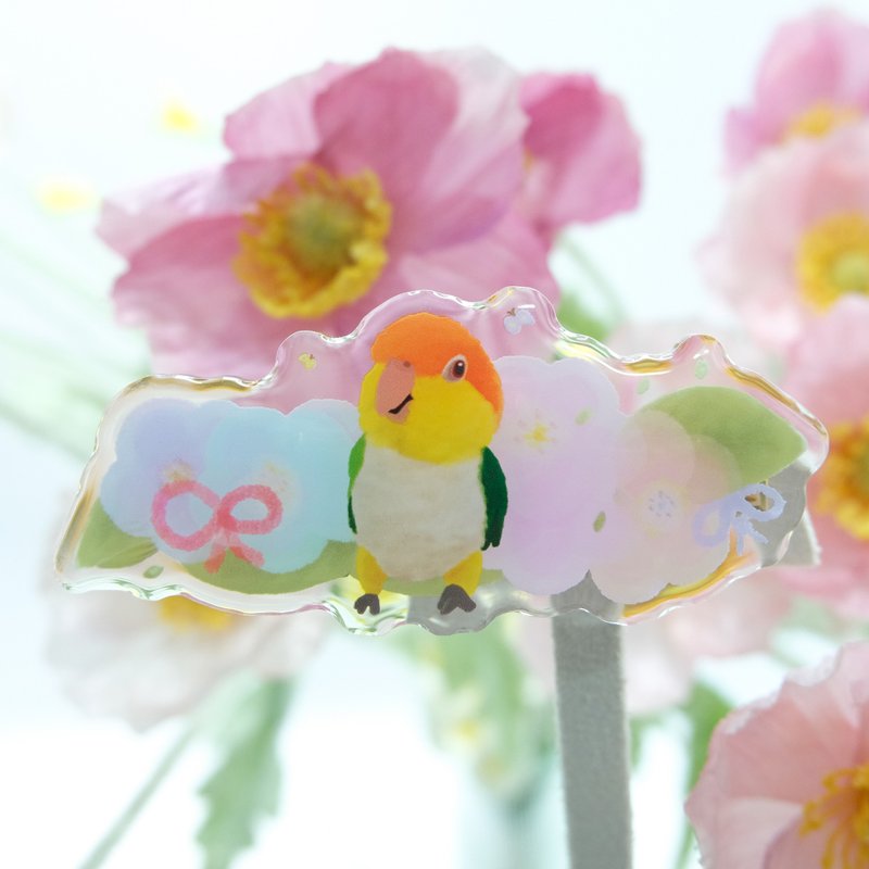 凱克鸚鵡和水彩花花髮夾 凱克鸚鵡髮夾 萬用夾 - 髮夾/髮圈 - 樹脂 