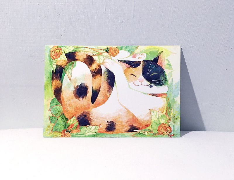 慵懶的三色窩貓 /雙面明信片postcard - 心意卡/卡片 - 紙 綠色