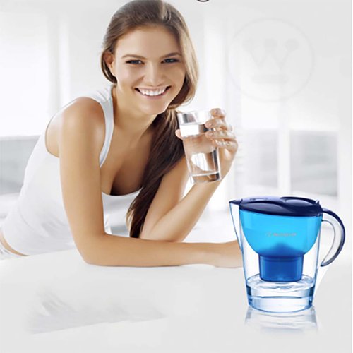 WESTINGHOUSE西屋 【免運】廚房淨水杯自來水過濾芯淨水器家用淨水壺Westinghouse