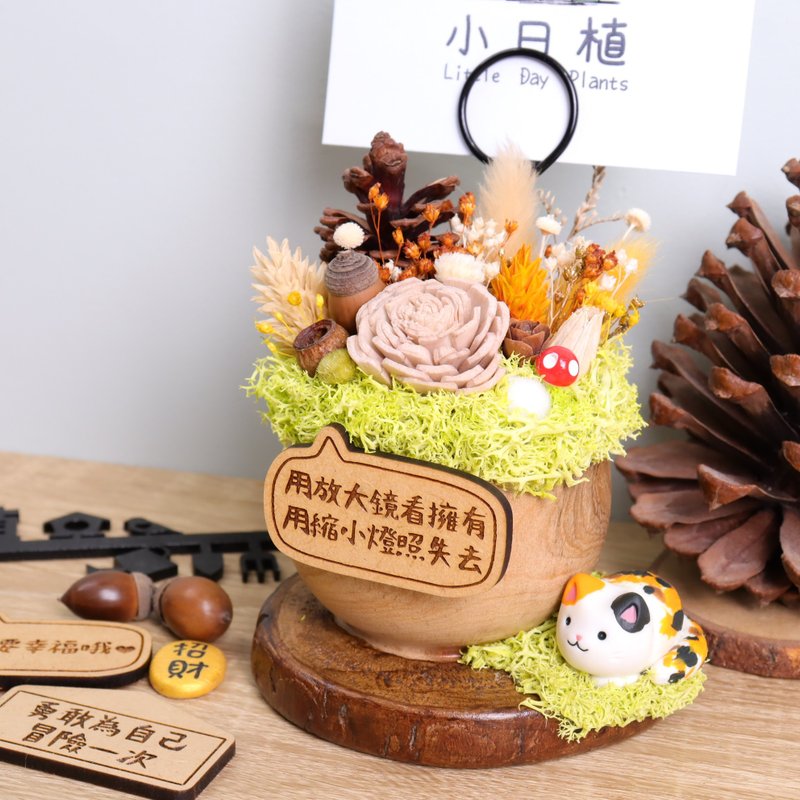 No second pot!! Sanhua Meow Meow Peekaboo dried flower business card holder potted plant customized name plate - Dried Flowers & Bouquets - Wood Pink