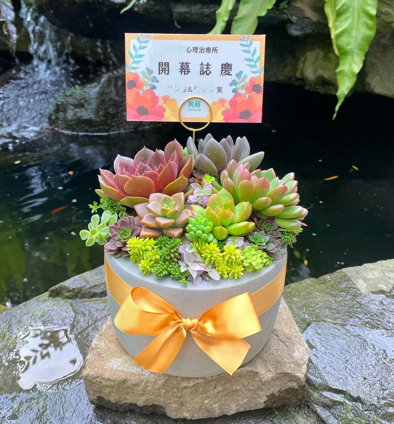 【急單可】免費客製卡片/安全運送/多肉盆栽/水泥盆/開幕 升遷 花 - 盆栽/植栽 - 植物．花 綠色