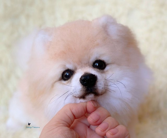 pomeranian spitz dog realistic toy Shop NatalyaPushkarevaToy Stuffed Dolls Figurines Pinkoi