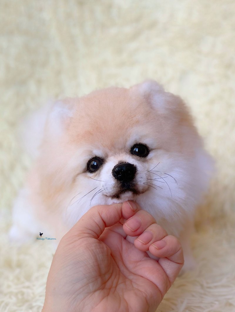 pomeranian spitz dog,  realistic toy - ตุ๊กตา - เส้นใยสังเคราะห์ ขาว