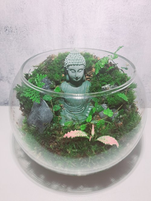太陽療癒工作坊 【苔療癒】佛像禪意-生態瓶DIY材料包