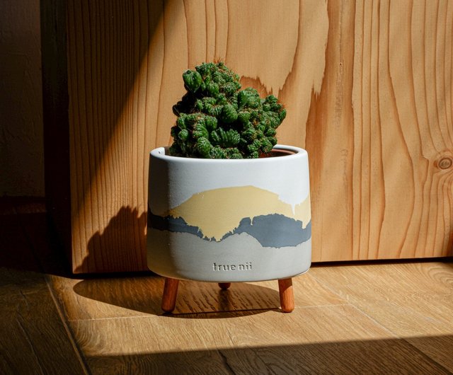 脚付きセメント鉢 - 小春日和 - ショップ true nii 観葉植物 - Pinkoi