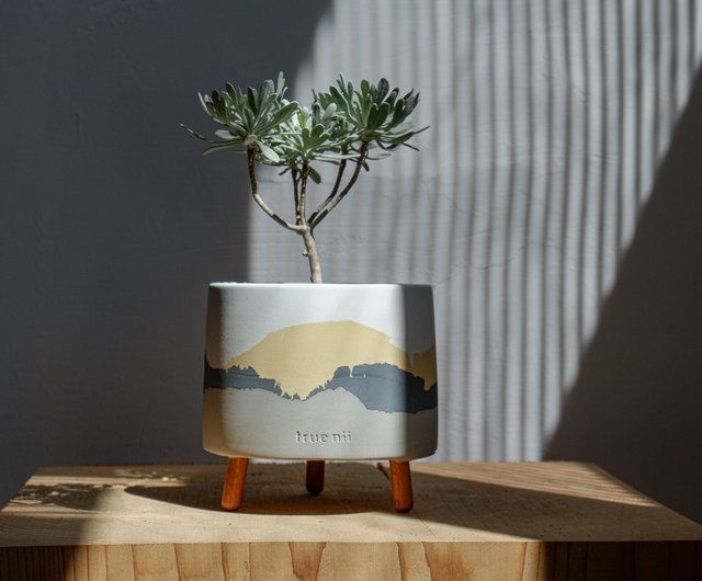 脚付きセメント鉢 - 小春日和 - ショップ true nii 観葉植物 - Pinkoi